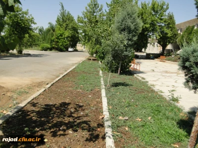 هماهنگی با سازمان زیبا سازی شهرداری برای زیبایی هر چه بیشتر محوطه پردیس