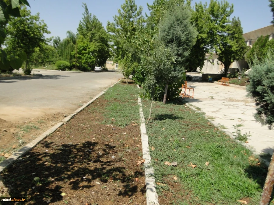 زیبا سازی محوطه پردیس با هماهنگی سازمان زیبا سازی شهرداری