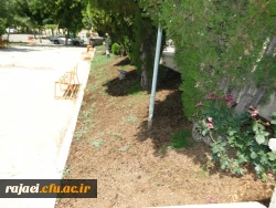 زیبا سازی محوطه پردیس با هماهنگی سازمان زیبا سازی شهرداری