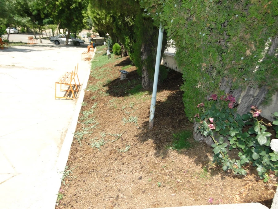 زیبا سازی محوطه پردیس با هماهنگی سازمان زیبا سازی شهرداری