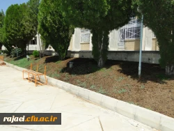 زیبا سازی محوطه پردیس با هماهنگی سازمان زیبا سازی شهرداری