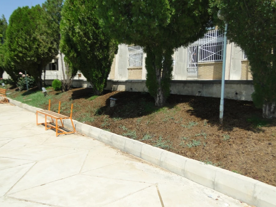 زیبا سازی محوطه پردیس با هماهنگی سازمان زیبا سازی شهرداری