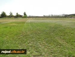 ترمیم و احیا چمن زمین فوتبال پردیس