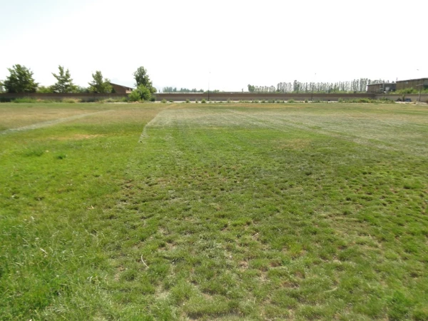 ترمیم و احیا چمن زمین فوتبال پردیس