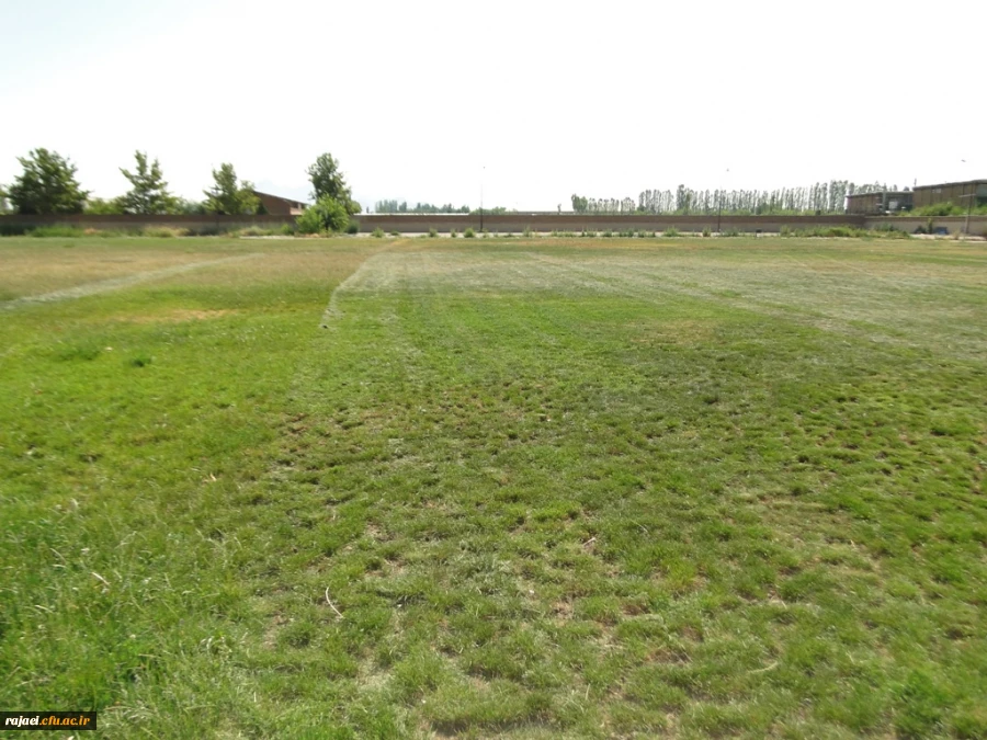 ترمیم و احیا چمن زمین فوتبال پردیس