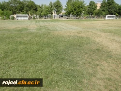 ترمیم و احیا چمن زمین فوتبال پردیس