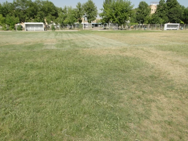 ترمیم و احیا چمن زمین فوتبال پردیس