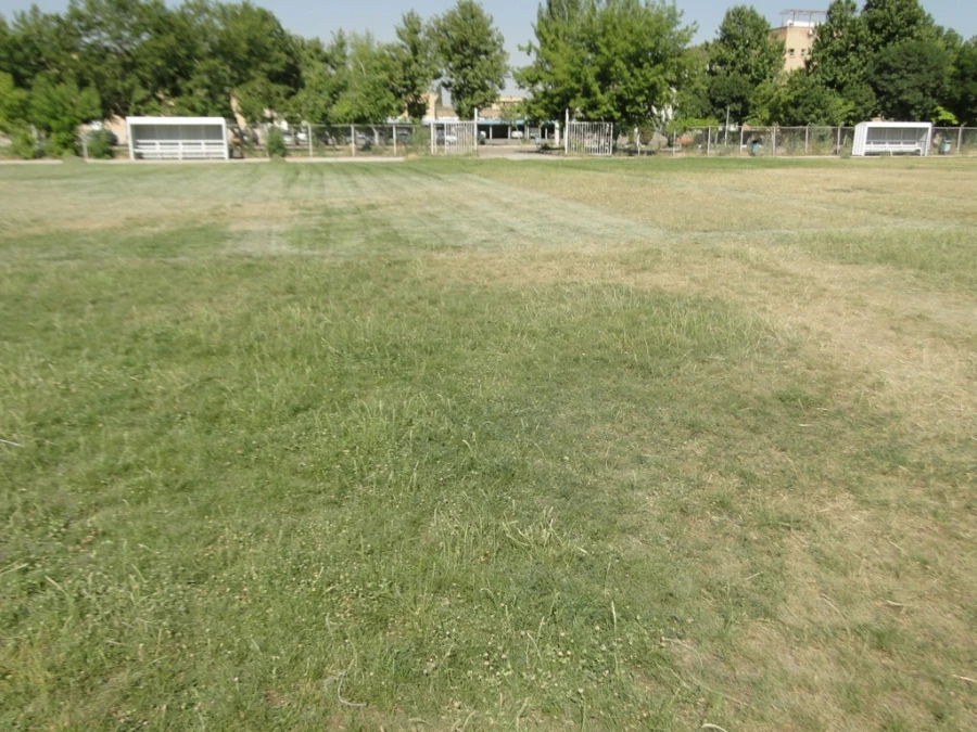 ترمیم و احیا چمن زمین فوتبال پردیس