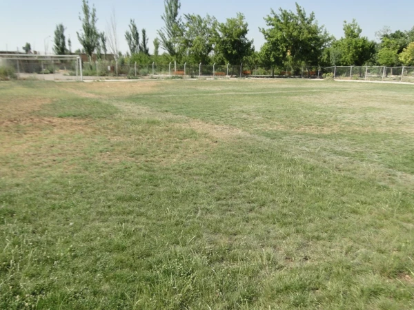 ترمیم و احیا چمن زمین فوتبال پردیس