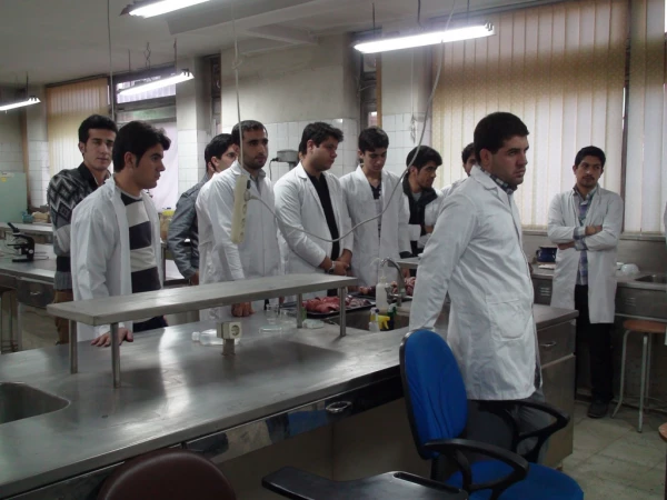 بازدید روسای پردیسهای دانشگاه فرهنگیان، معاون برنامه ریزی و توسعه مدیریت و مسئولان پژوهشکده تعلیم و تربیت اداره کل آموزش و پرورش استان از آزمایشگاههای پردیس شهید رجایی 2