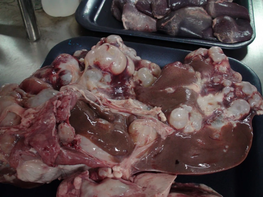 بازدید روسای پردیسهای دانشگاه فرهنگیان، معاون برنامه ریزی و توسعه مدیریت و مسئولان پژوهشکده تعلیم و تربیت اداره کل آموزش و پرورش استان از آزمایشگاههای پردیس شهید رجایی 4