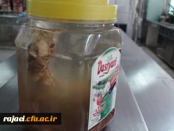 بازدید روسای پردیسهای دانشگاه فرهنگیان، معاون برنامه ریزی و توسعه مدیریت و مسئولان پژوهشکده تعلیم و تربیت اداره کل آموزش و پرورش استان از آزمایشگاههای پردیس شهید رجایی 5