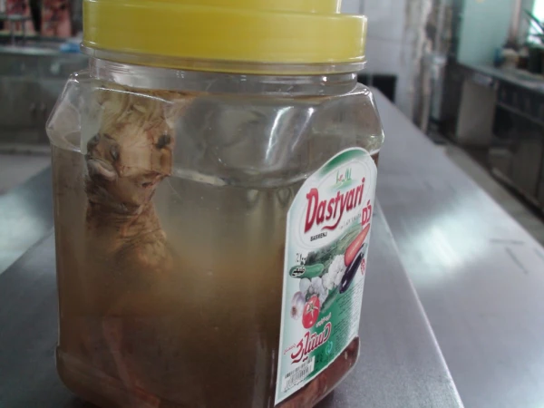 بازدید روسای پردیسهای دانشگاه فرهنگیان، معاون برنامه ریزی و توسعه مدیریت و مسئولان پژوهشکده تعلیم و تربیت اداره کل آموزش و پرورش استان از آزمایشگاههای پردیس شهید رجایی 5