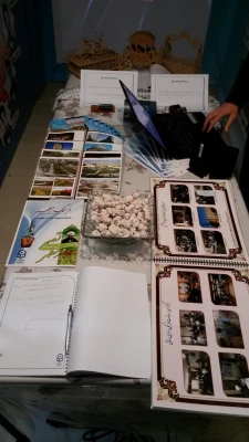 درخشش دانشجویان برادر دانشگاه فرهنگیان آذربایجان غربی در همایش رویش 6