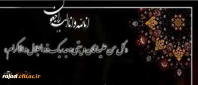 انالله و انا الیه راجعون

جناب آقای دکتر مقدسی، معاون محترم توسعه مدیریت و منابع پردیس شهید رجایی ارومیه