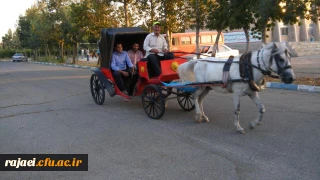 کالسکه سواری مهارت آموزن ماده 28 در محوطه پردیس شهید رجایی ارومیه