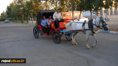 کالسکه سواری مهارت آموزن ماده 28 در محوطه پردیس شهید رجایی ارومیه