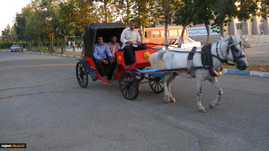 کالسکه سواری مهارت آموزن ماده 28 در محوطه پردیس شهید رجایی ارومیه