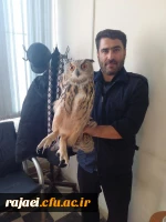 تحویل یک قطعه جغد پیدا  شده در محوطه به سازمان محیط زیست 2