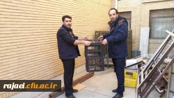 تحویل یک قطعه جغد پیدا  شده در محوطه به سازمان محیط زیست 3