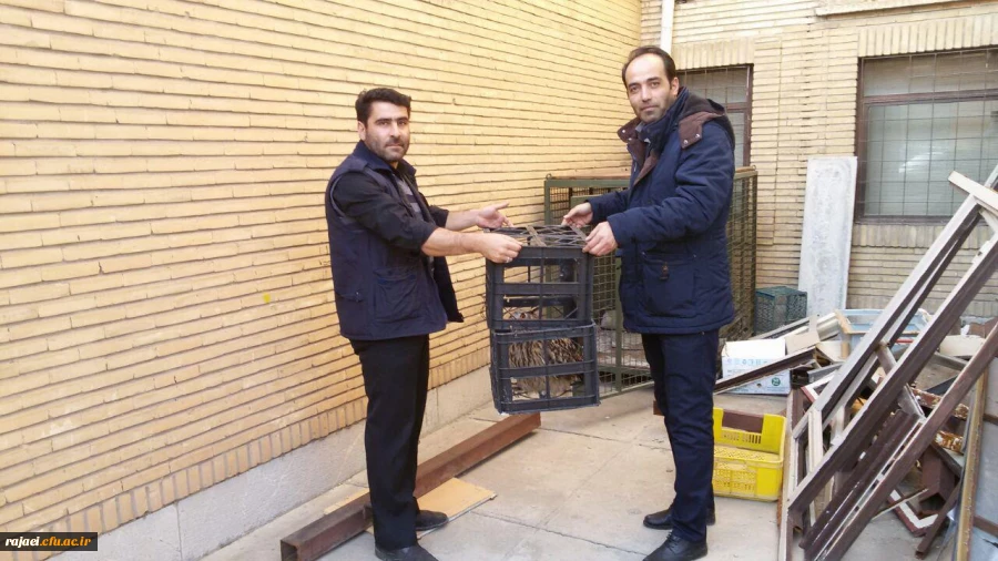 تحویل یک قطعه جغد پیدا  شده در محوطه به سازمان محیط زیست 3