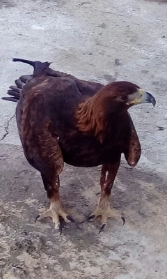 بمناسبت گرامیداشت دهه ی سرآمدی آموزش و به همت گروه علوم پایه

بازدید دانشجویان پردیس شهید رجایی آذربایجان غربی از پارک ملی دریاچه ارومیه و باغ وحش 6