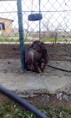 بمناسبت گرامیداشت دهه ی سرآمدی آموزش و به همت گروه علوم پایه

بازدید دانشجویان پردیس شهید رجایی آذربایجان غربی از پارک ملی دریاچه ارومیه و باغ وحش 7