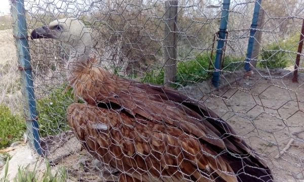 بمناسبت گرامیداشت دهه ی سرآمدی آموزش و به همت گروه علوم پایه

بازدید دانشجویان پردیس شهید رجایی آذربایجان غربی از پارک ملی دریاچه ارومیه و باغ وحش 9